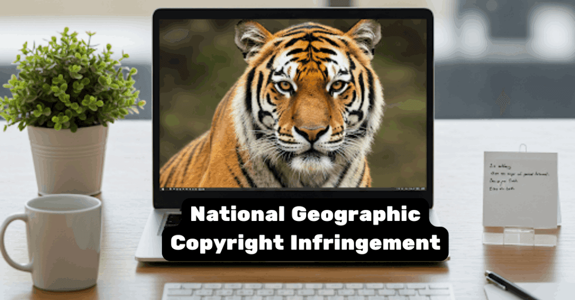 National Geographic Copyright Infringement