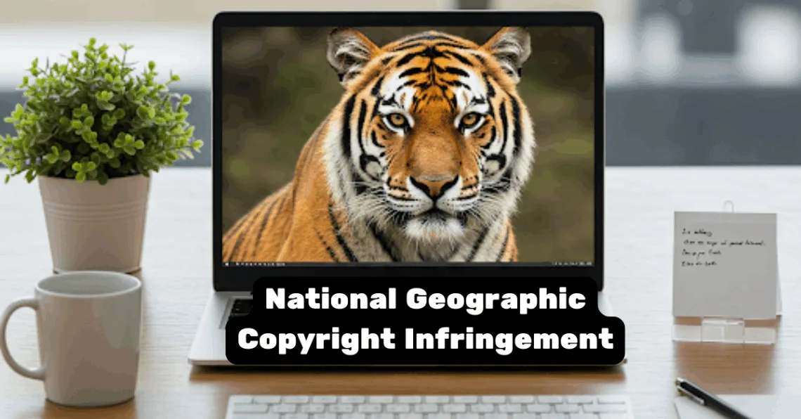 National Geographic Copyright Infringement
